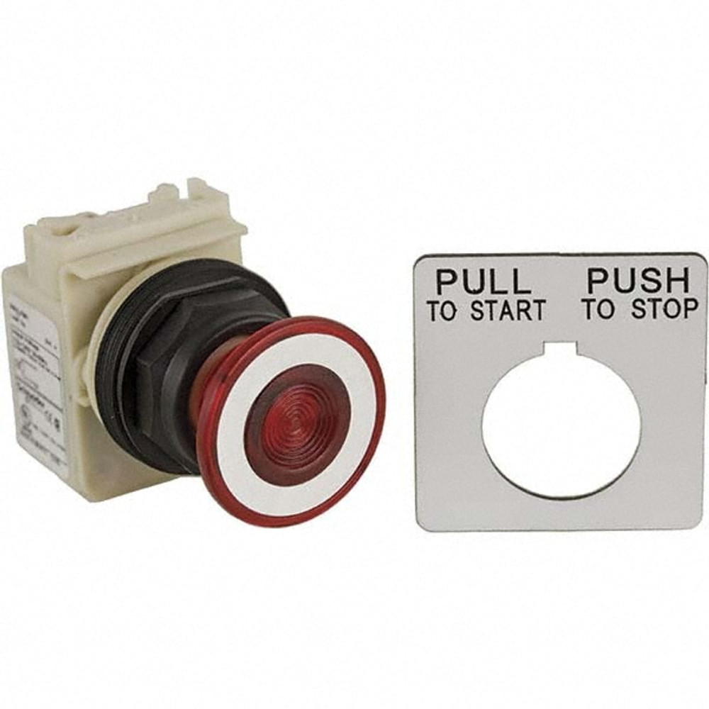 Schneider Electric 001SKR9P1R05H13 Push-Button Switch: 30 mm Mounting Hole Dia, Maintained (MA)