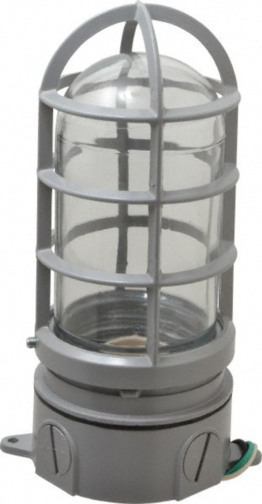 Cooper Crouse-Hinds TP7601 120 Volt, 100 Watt, Incandescent Hazardous Location Light Fixture