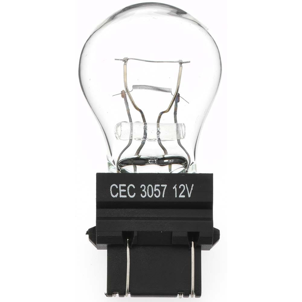 Import 3057 Incandescent Miniature & Specialty S8 Lamp