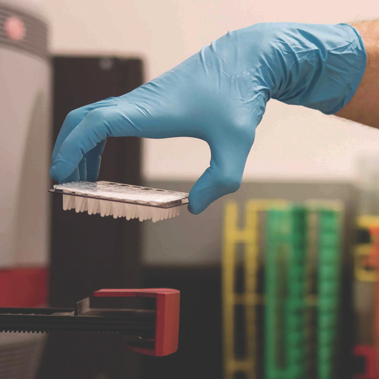 AMMEX CORPORATION GloveWorks® by GPNHD68100 Blue Nitrile Exam Gloves, Powder-Free, X-Large, 8 mil Thick, 11.6" Long, Blue, 50/Box, 10 Boxes/Carton