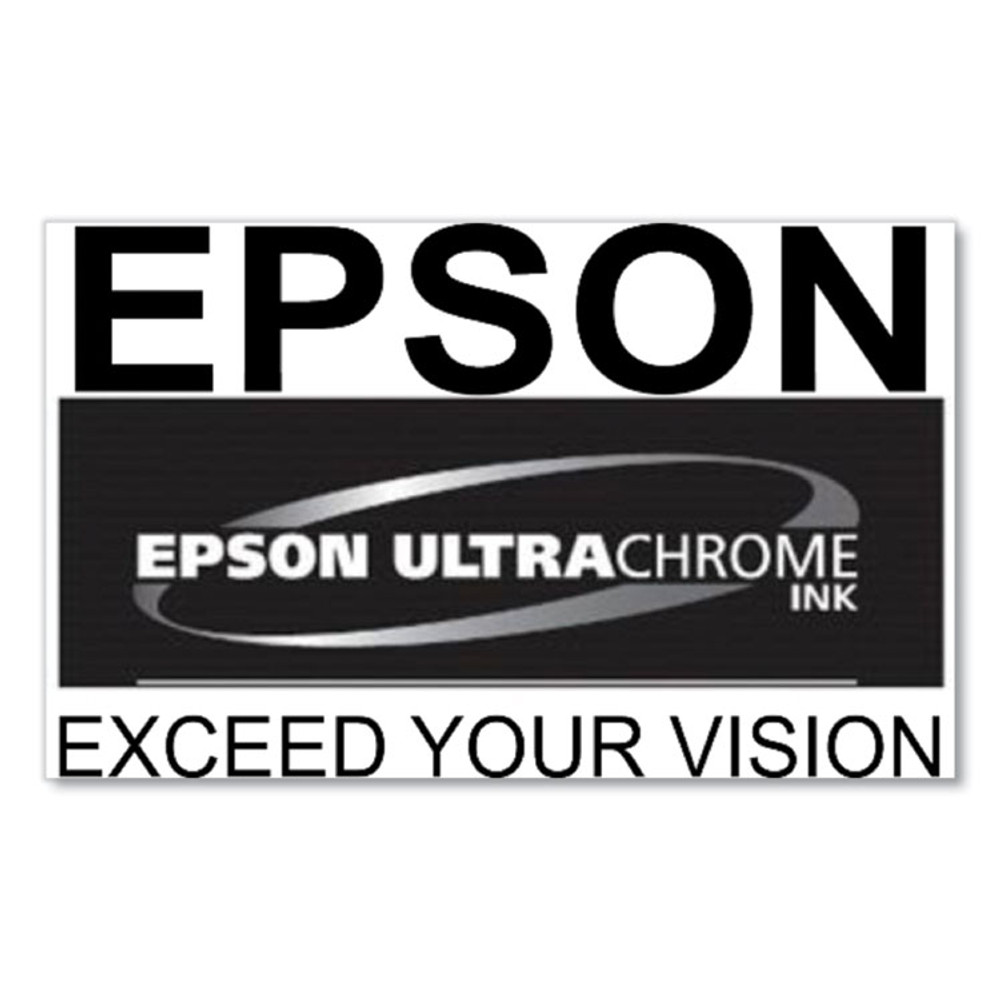 EPSON AMERICA, INC. T53K820 T53K820 (T53K) UltraChrome DS Ink, Fluorescent Pink, 2/Pack