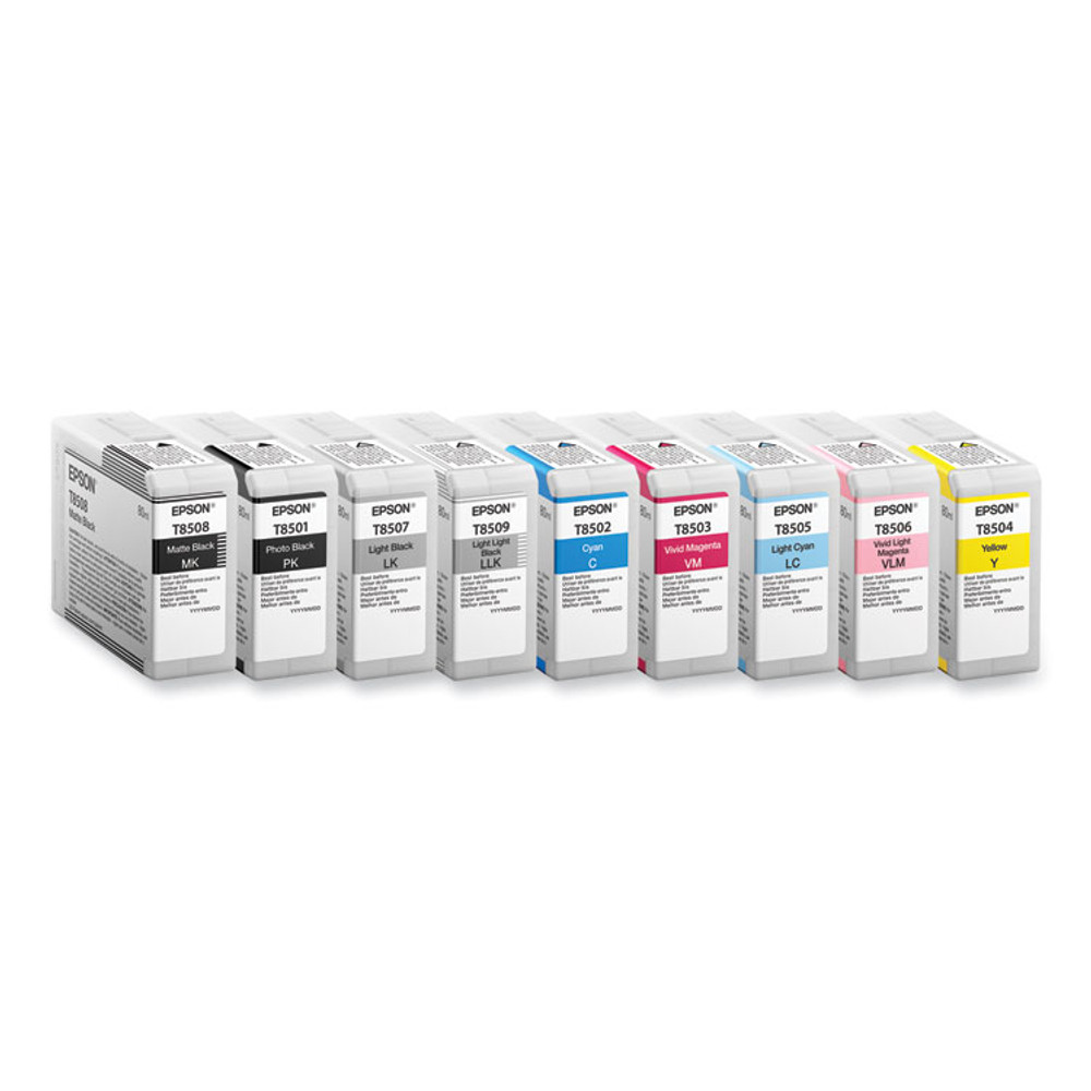 EPSON AMERICA, INC. T850100 T850100 Ink, Photo Black