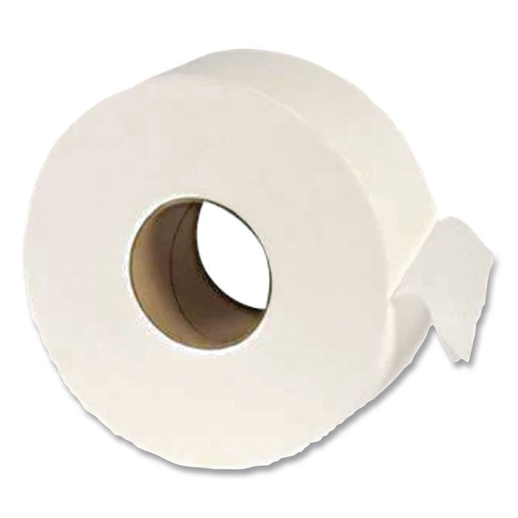AMERICAN PAPER CONVERTING Eco Green® EJ932 Recycled Two-Ply Jumbo Toilet Paper, Septic Safe, 3.55" x 1,000 ft, White, 12 Rolls/Carton