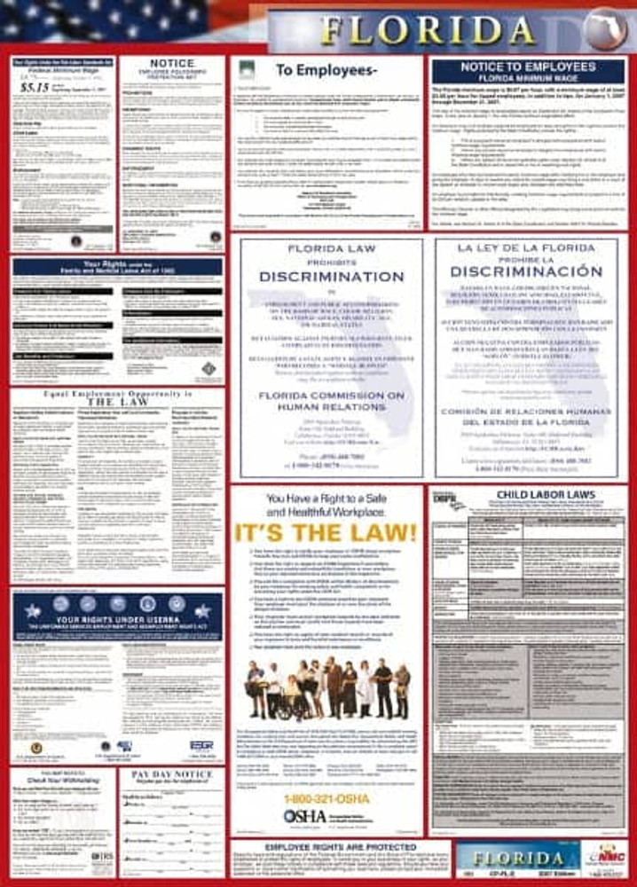 AccuformNMC LLP-FL 24" Wide x 40" High Laminated Paper Labor Law Information Poster