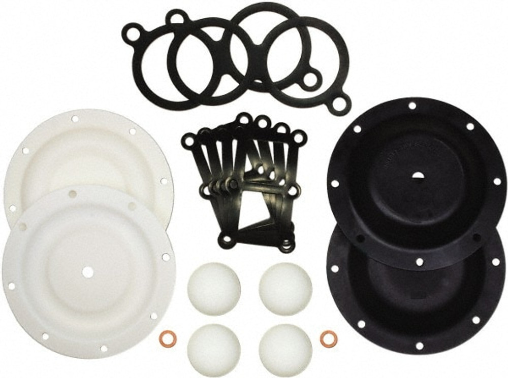 SandPIPER 476.197.654 Diaphragm Pump Fluid Section Repair Kit: Polytetrafluoroethylene, Includes Check Balls, Diaphragms & Gasket, Use with S1F Non-Metallic