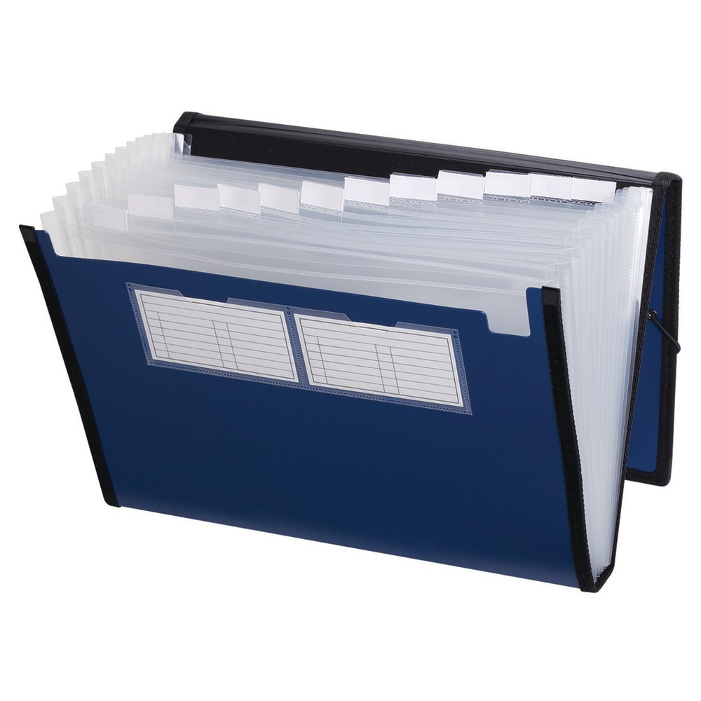 TOPS BRANDS Pendaflex 01121  Professional Poly Expanding File, 13 Pockets, Letter Size, Metallic Blue