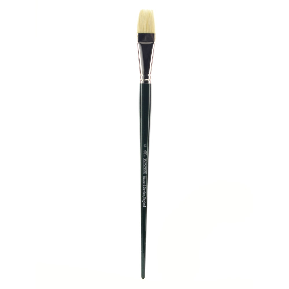 COLART FINE ART & GRAPHICS LTD. 5974712 Winsor & Newton Winton Hog Paint Brush, Size 12, Long Flat Bristle, Hog Hair, Green