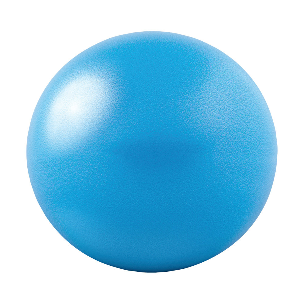 GOFIT L.L.C. GF-20BALL GoFit Core Ab Ball
