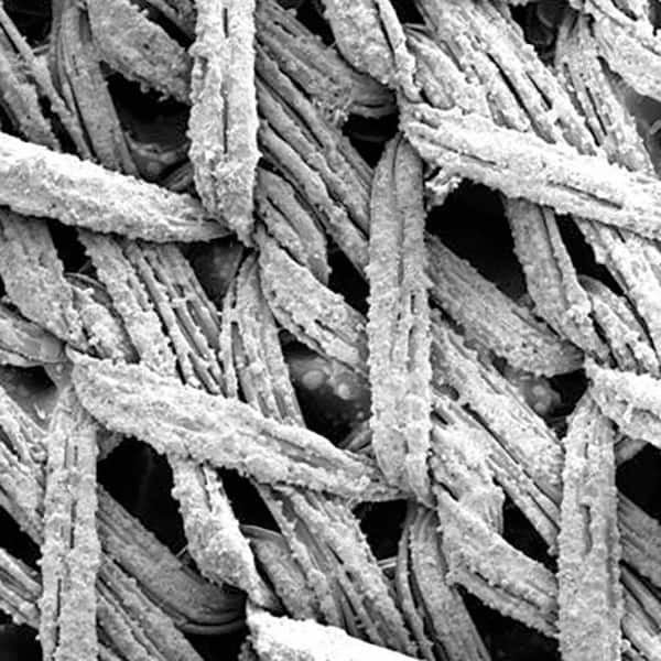 3M Disc Backing Pad: Disc Pad 7010360095