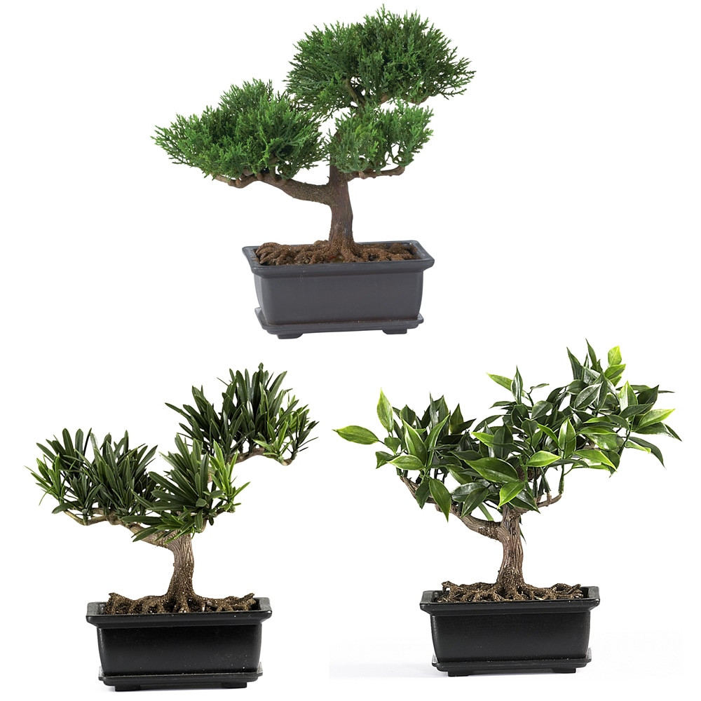 MITA Nearly Natural 4122  8 1/2in Silk Bonsai Plant With Pot, 8 1/2inH x 8 1/2inW x 5inD, Set of 3