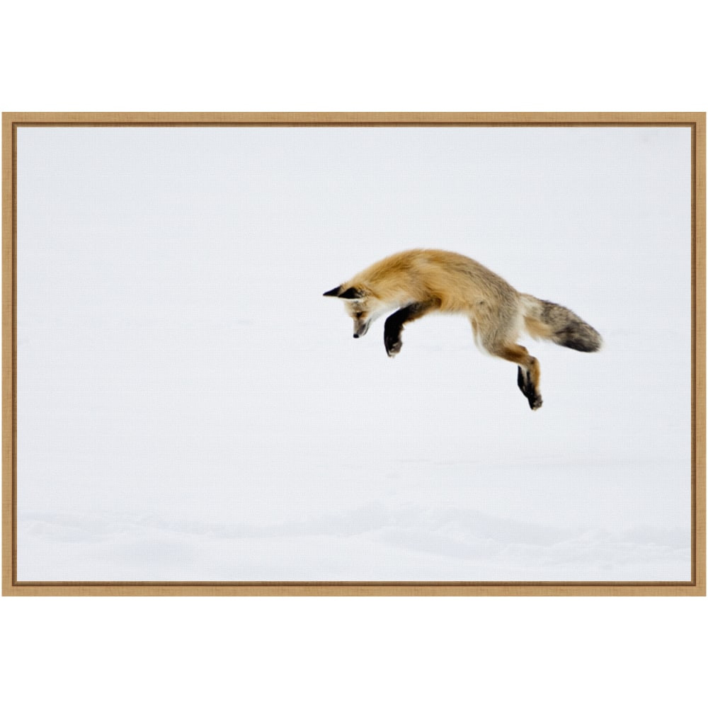 UNIEK INC. Amanti Art A42705339712  Red Fox in Snow by Deborah Winchester Framed Canvas Wall Art Print, 23in x 16in, Maple