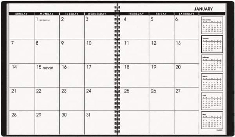 AT-A-GLANCE AAG7026005 Planner Appointment Book: 26 Sheets, Planner Ruled, White Paper