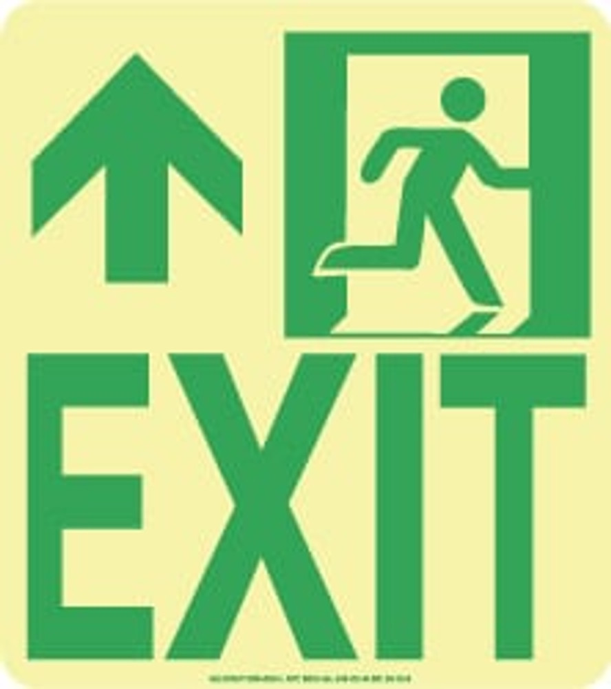 AccuformNMC 50F-6SN-L Exit Sign: "Exit"