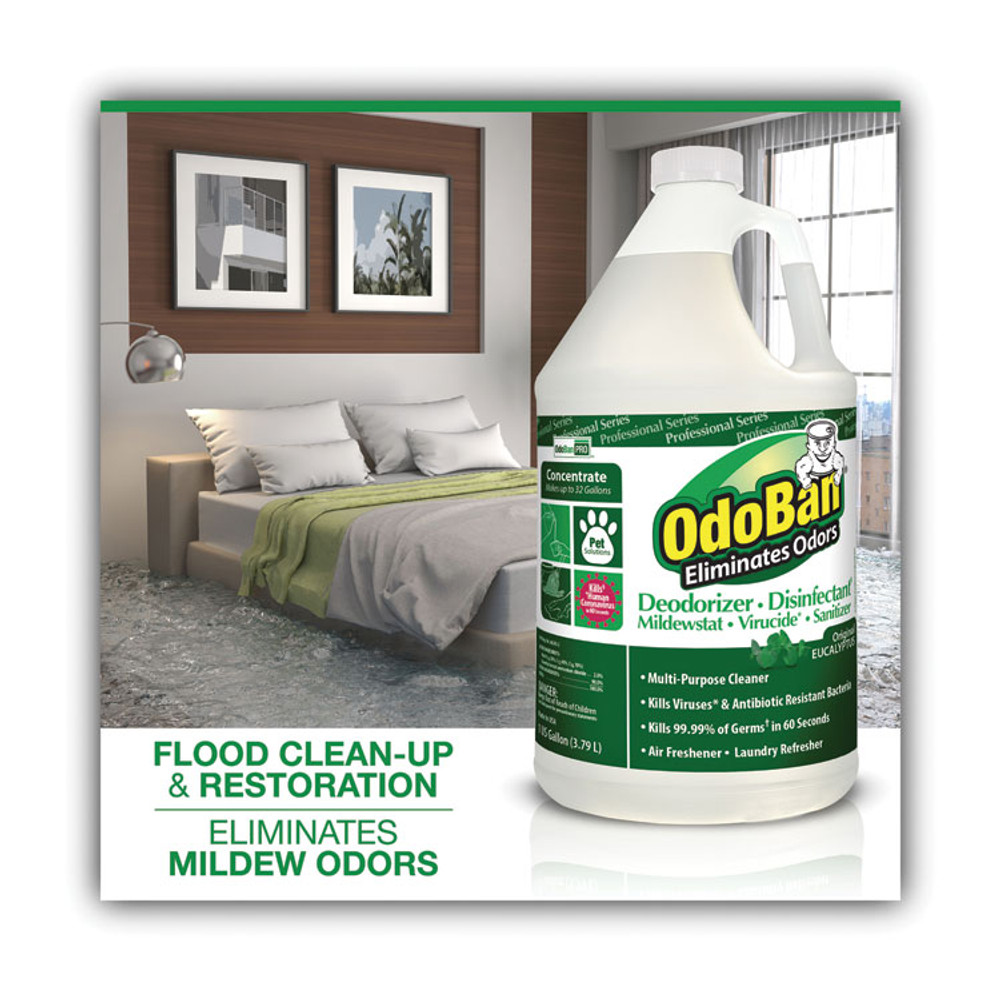 CLEAN CONTROL CORPORATION OdoBan® 911062-G4 Concentrated Odor Eliminator, Eucalyptus, 1 gal Bottle, 4/Carton