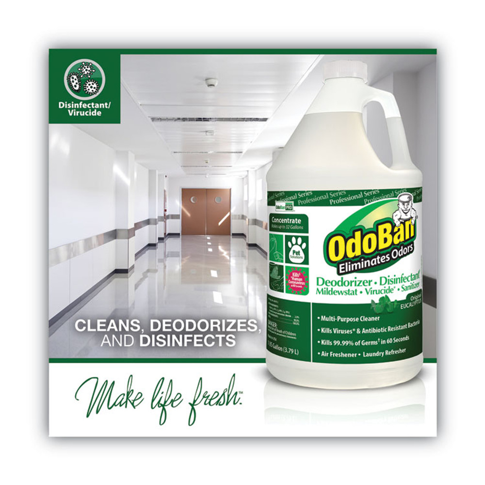 CLEAN CONTROL CORPORATION OdoBan® 911062-G4 Concentrated Odor Eliminator, Eucalyptus, 1 gal Bottle, 4/Carton