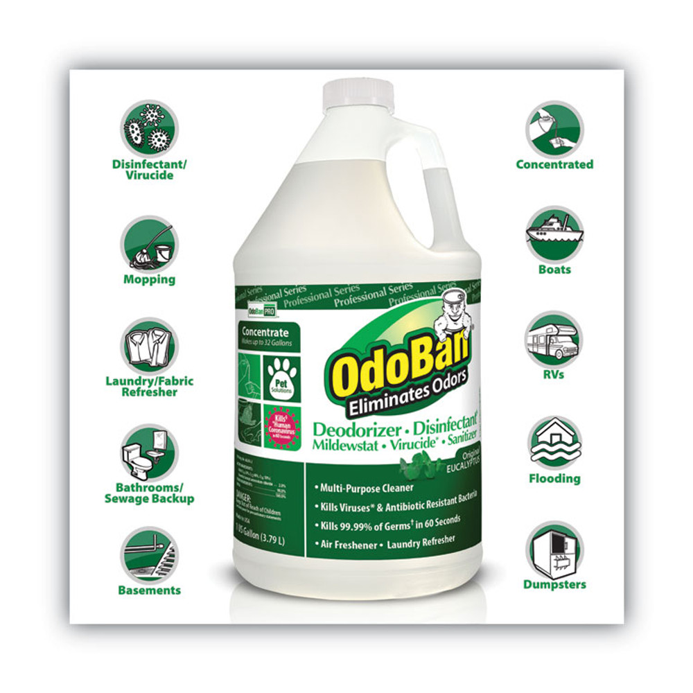 CLEAN CONTROL CORPORATION OdoBan® 911062-G4 Concentrated Odor Eliminator, Eucalyptus, 1 gal Bottle, 4/Carton