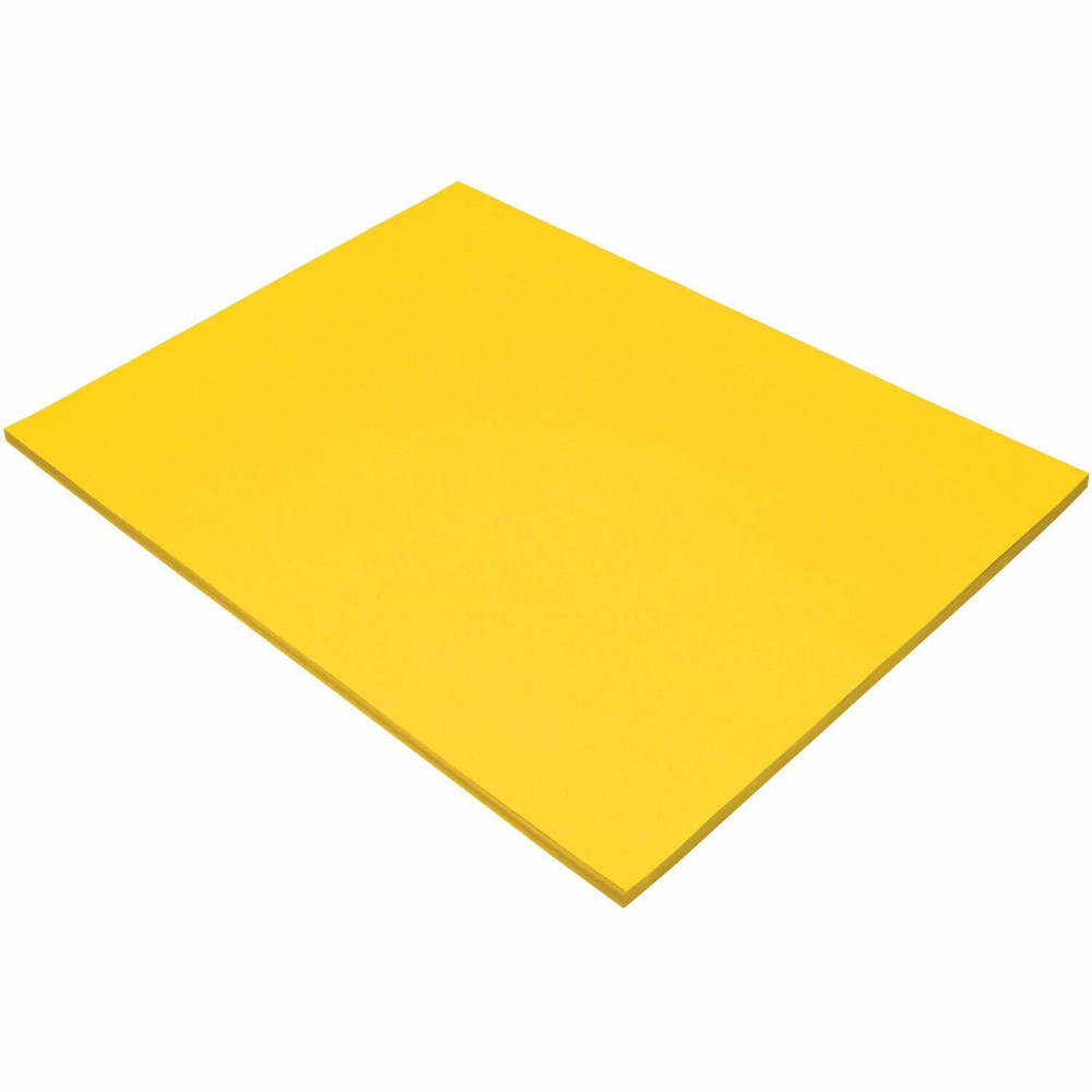 Dixon Ticonderoga Company Dixon 103068 Tru-Ray Construction Paper