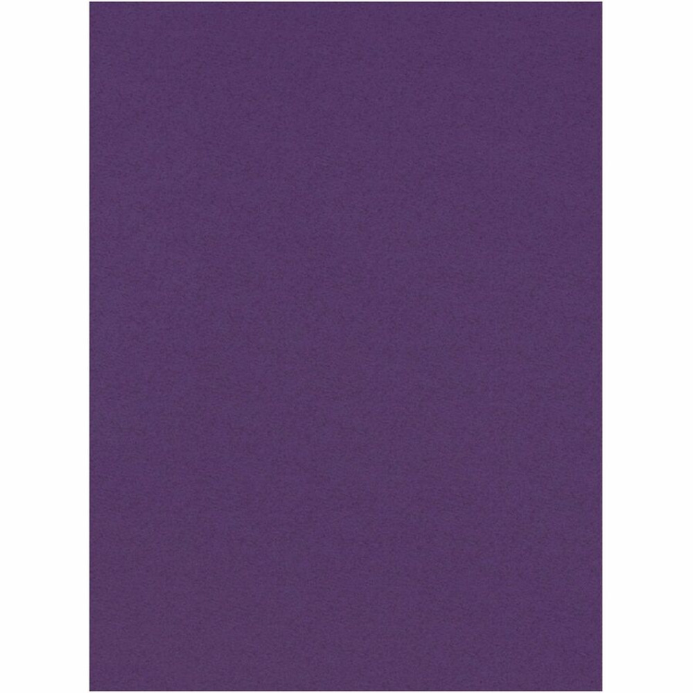 Dixon Ticonderoga Company Dixon 103019 Tru-Ray Construction Paper