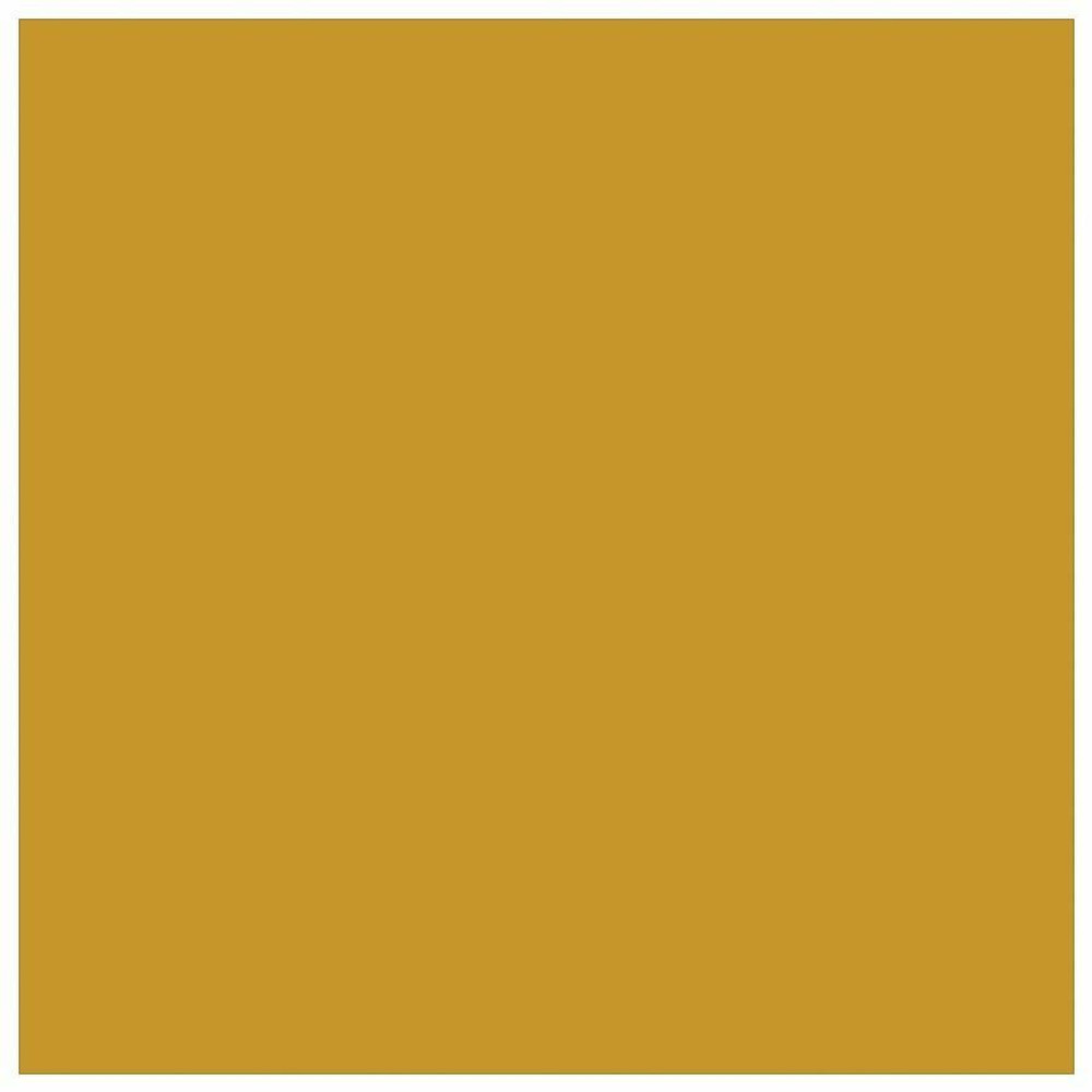 Neenah Paper, Inc Astrobrights 22771 Astrobrights Colored Cardstock - Gold