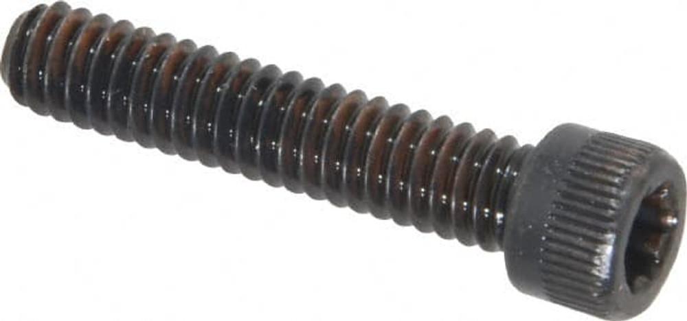 Camcar 30291 Machine Screw: 1/4-20 x 1-1/4", Socket Cap Head, Torx