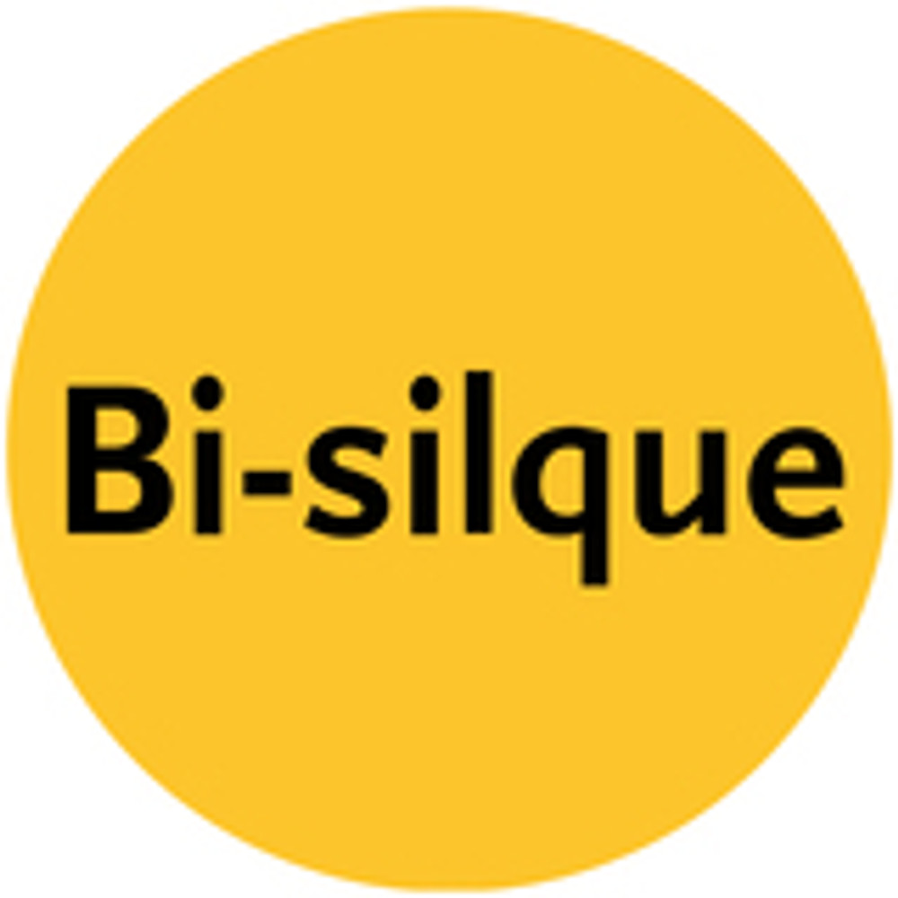 Bi-silque S.A Bi-silque GL07219101 Bi-silque Desktop Divider Glass Barrier