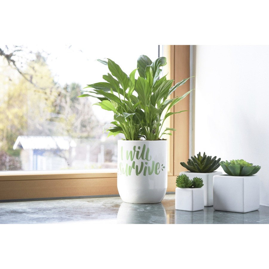 uni-ball Corporation uniball? PC3MGREEN uni&reg; Posca PC-3M Paint Markers