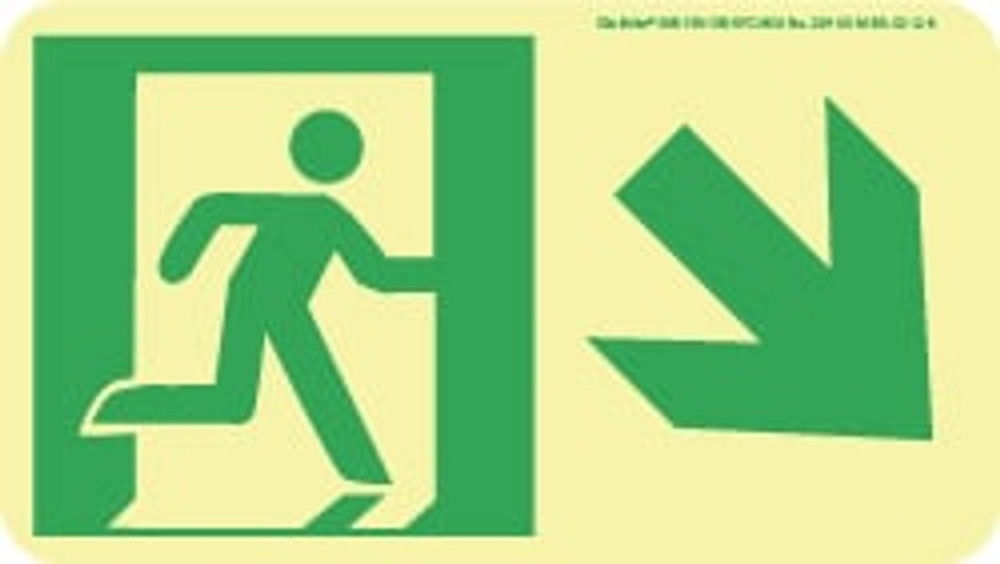 AccuformNMC 50F-1SN-DR Exit Sign: