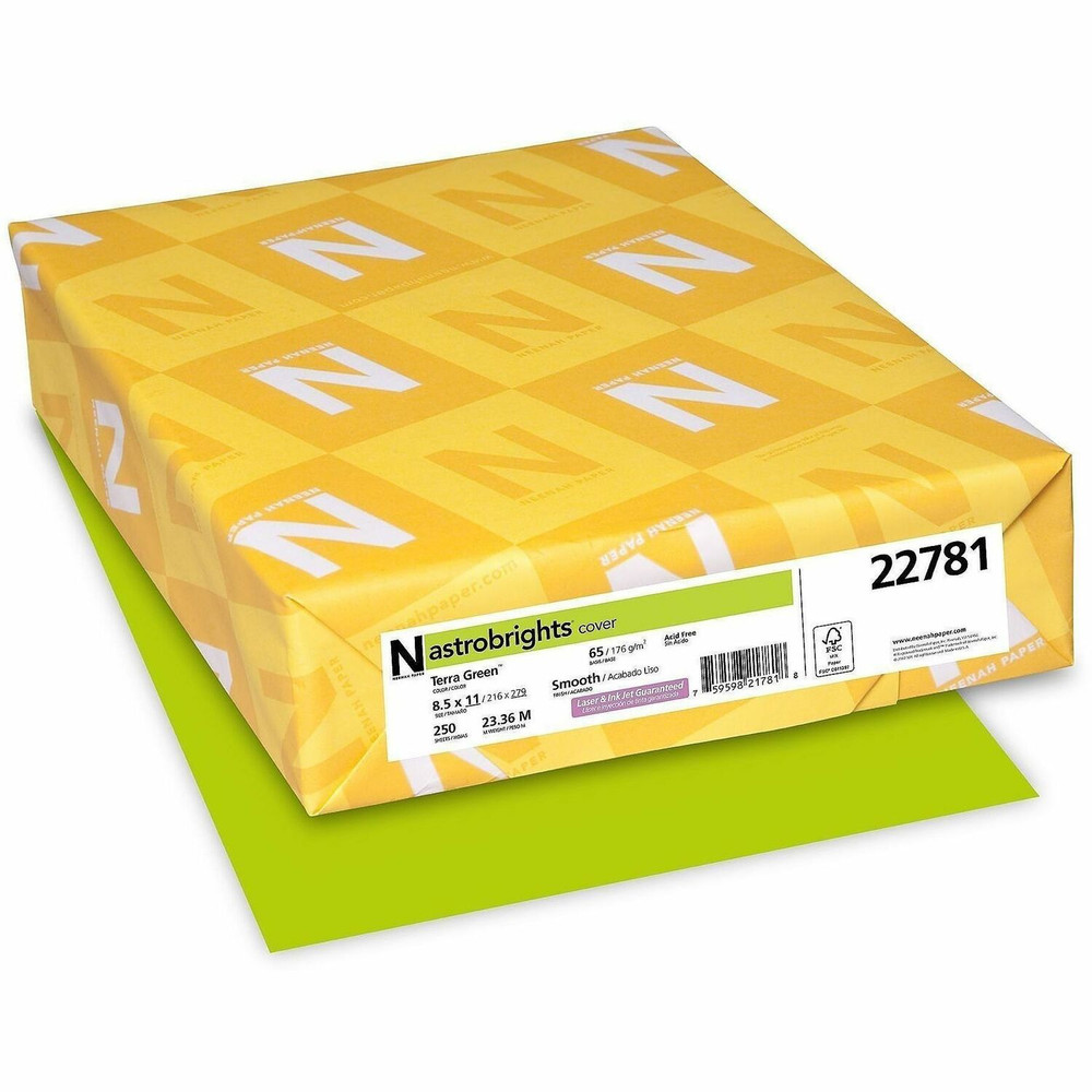 Neenah Paper, Inc Astrobrights 22781 Astrobrights Color Card Stock - Terra Green