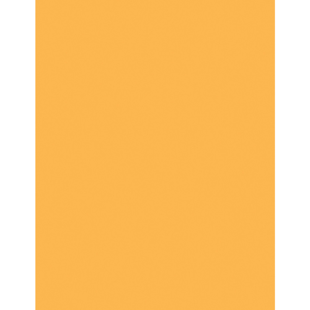 Sparco Products Sparco 05125 Sparco Premium Copy Paper - Goldenrod