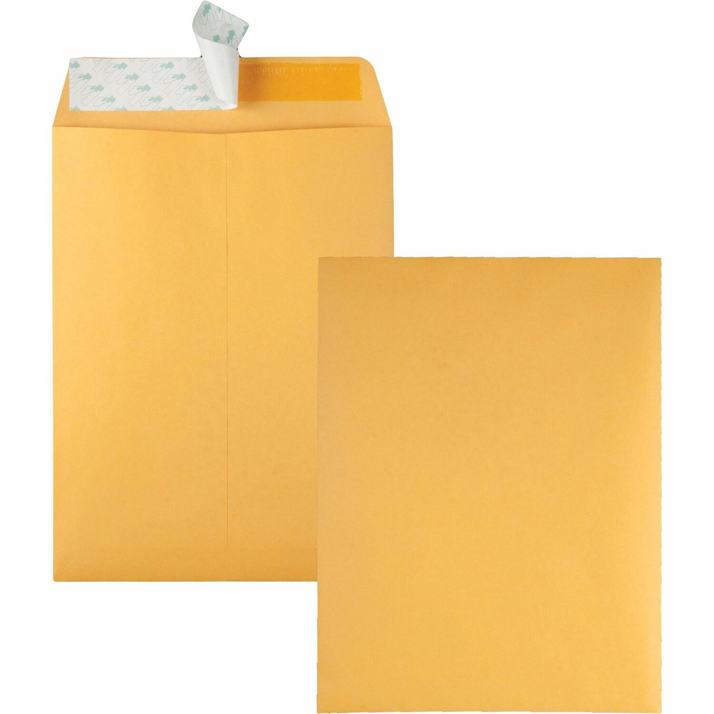 Quality Park Products Quality Park 44562 Quality Park 9 x 12 Catalog Envelopes with Redi-Strip&reg; Closure