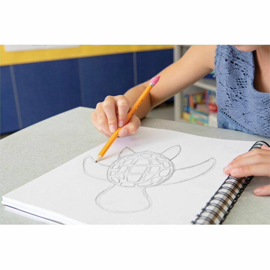 Dixon Ticonderoga Company Dixon 4794 UCreate Art1st Sketch Diary - Letter