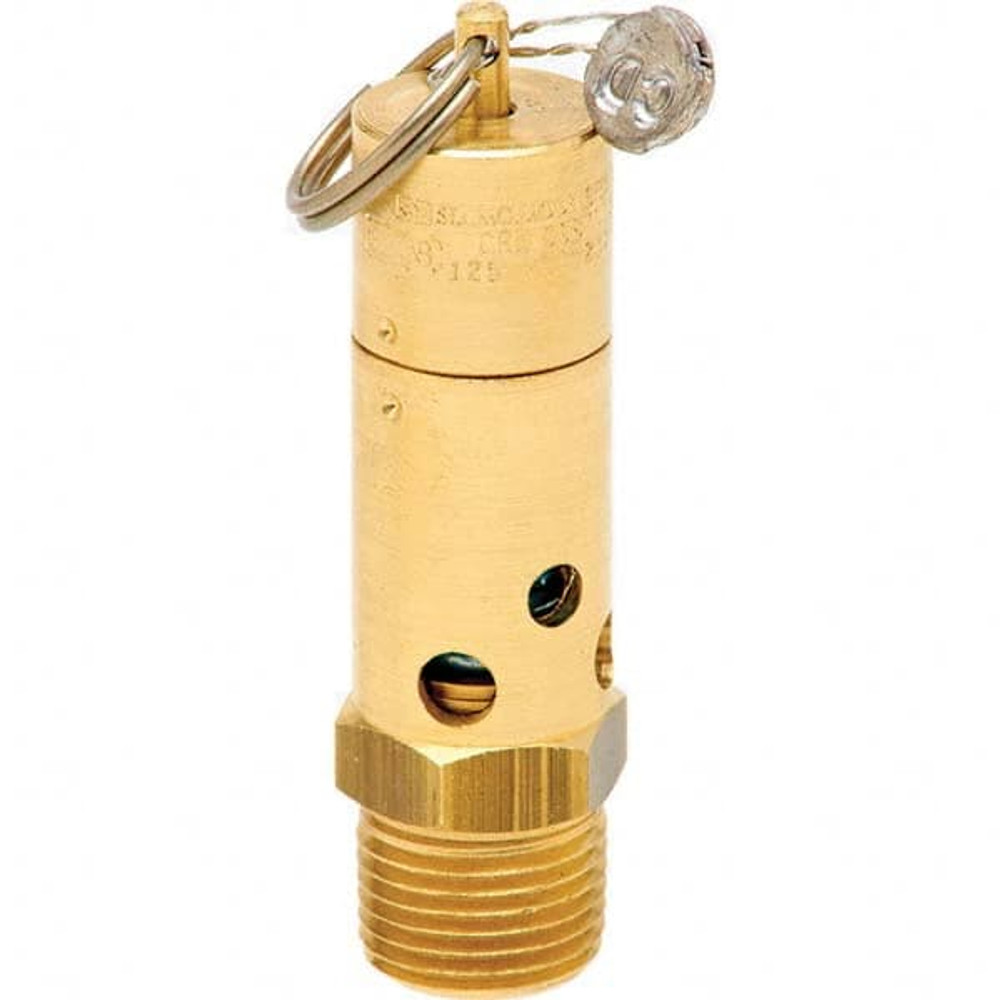 Control Devices SB50-0A125 ASME Safety Relief Valve: 1/2" Inlet, 504 CFM, 125 Max psi