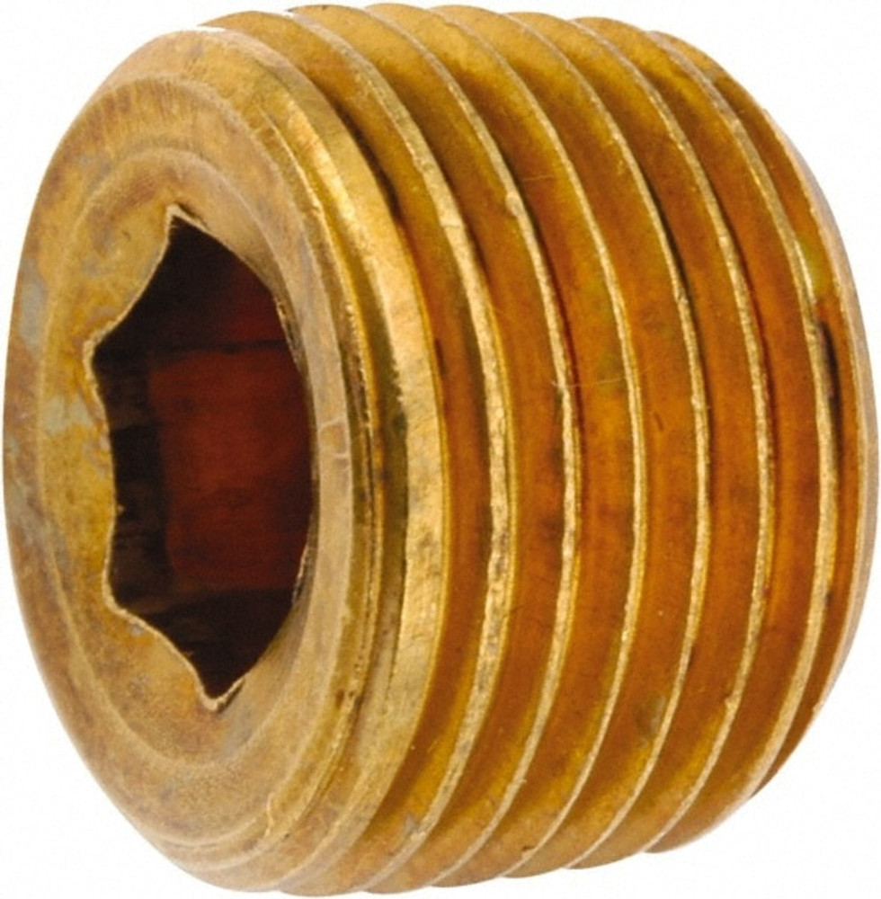 ANDERSON METALS 756115-04 Industrial Pipe Hollow Hex Plug: 1/4-18 Male Thread, MNPT