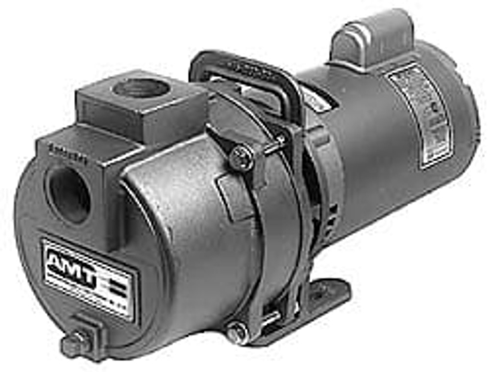 American Machine & Tool 3791-999-95 115/230 Volt, 1 Phase, 1 HP, High Pressure Self Priming Centrifugal Booster Pump