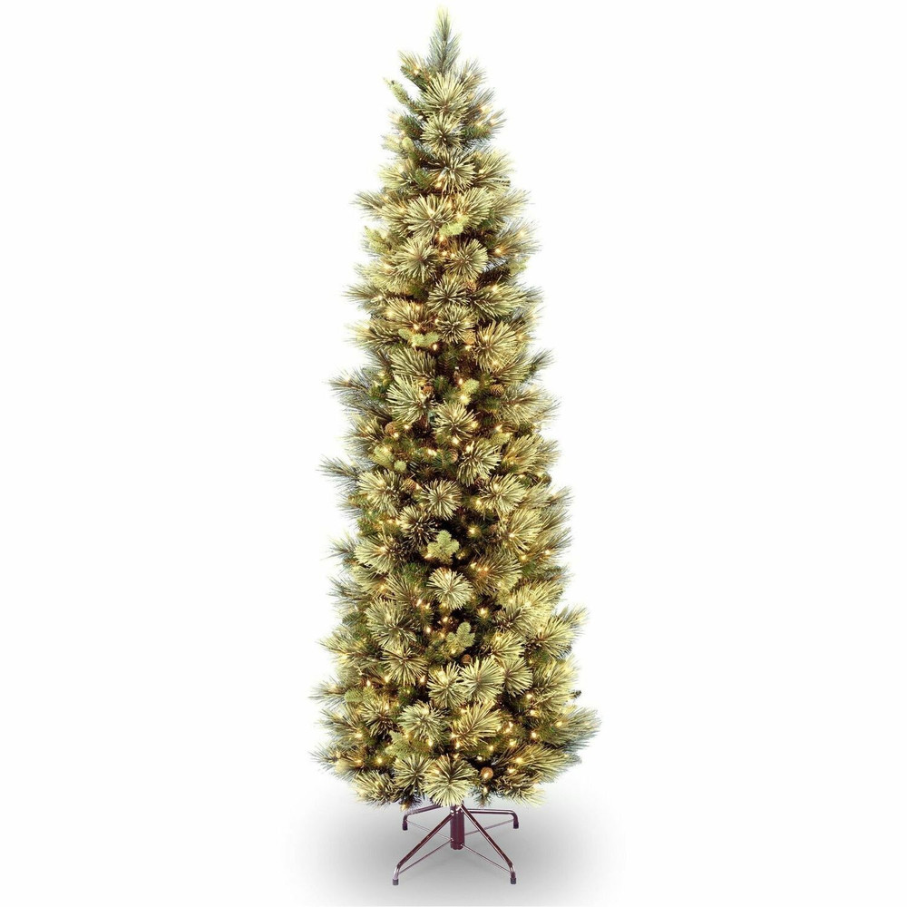 National Tree Company National Tree 729083952074 National Tree Christmas Tree - Clear, Green