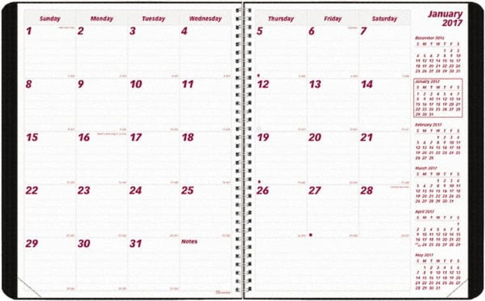 Brownline REDCB1262VBLK Monthly Planner: 12 Sheets, Planner Ruled