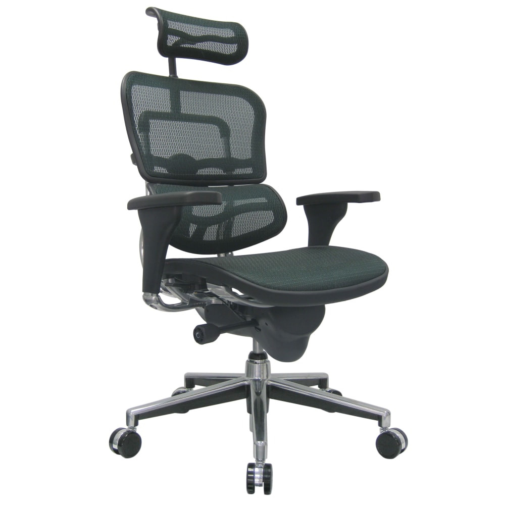 RAYNOR MARKETING, LTD. ME7ERG Raynor Eurotech Ergohuman Mesh High-Back Office Chair, Black/Chrome