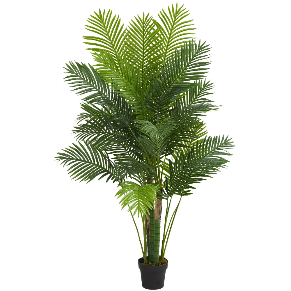 NEARLY NATURAL INC. 5592 Nearly Natural Hawaii Palm 72inH Artificial Tree, 72inH x 14inW x 6-1/2inD, Green