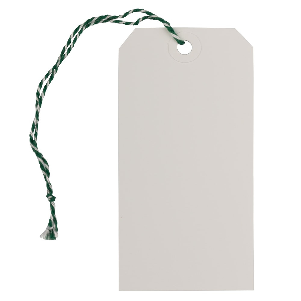 JAM PAPER AND ENVELOPE JAM Paper 91932671A  Medium Gift Tags, 4-3/4in x 2-3/8in, White/Green, Pack Of 10 Tags