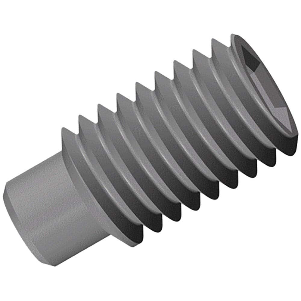 Iscar 7002800 Set Screw for Indexables: Slotted Drive, M10 Thread