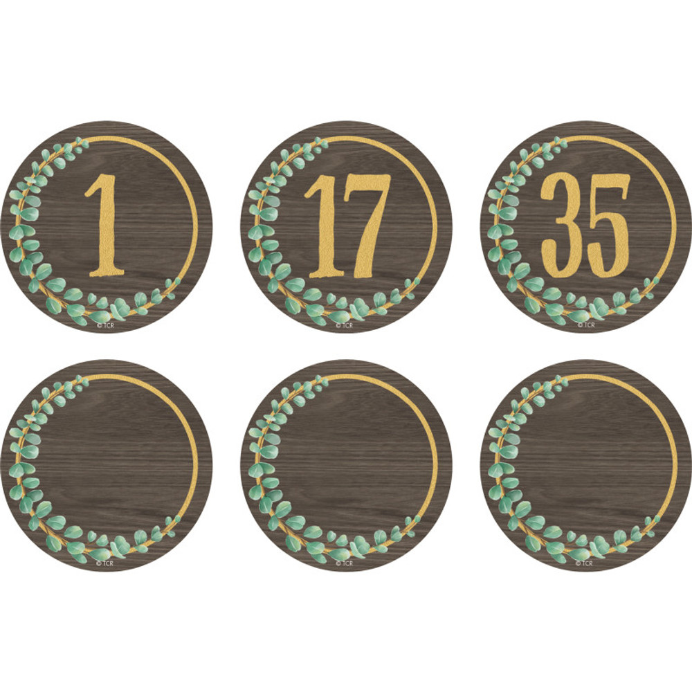 TEACHER CREATED RESOURCES Teacher Created Resources® Eucalyptus Numbers Magnetic Accents, 2-1/4", 42 Per Pack, 3 Packs