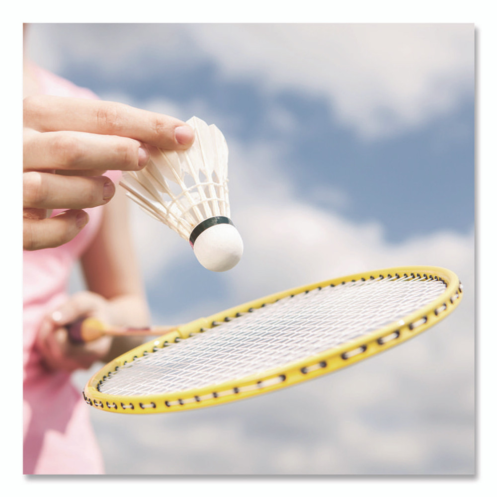 CHAMPION SPORT Sports CG203 Deluxe Badminton Tournament Set, 28" x 11"