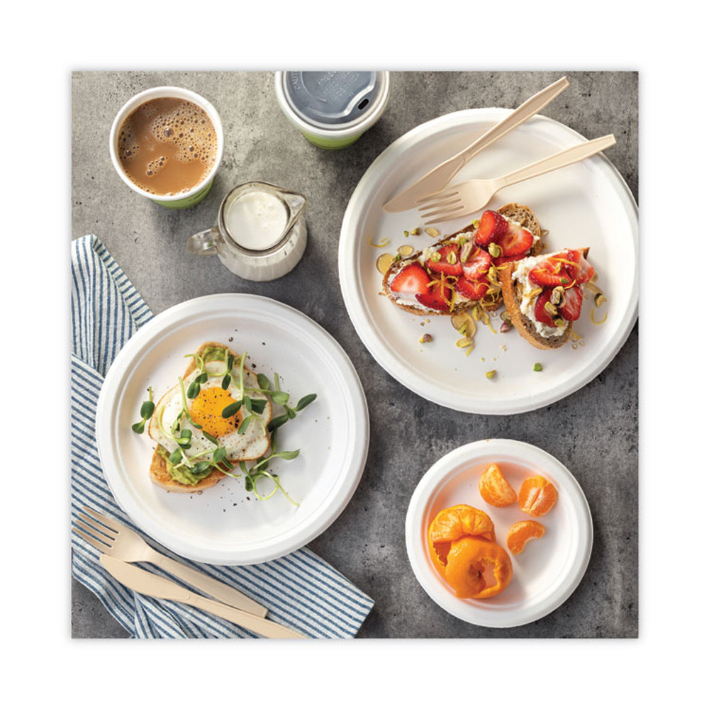 PACTIV EVERGREEN CORPORATION YPSMFTEC EarthChoice PSM Cutlery, Heavyweight Fork, Plastic, Tan, 1,000/Carton