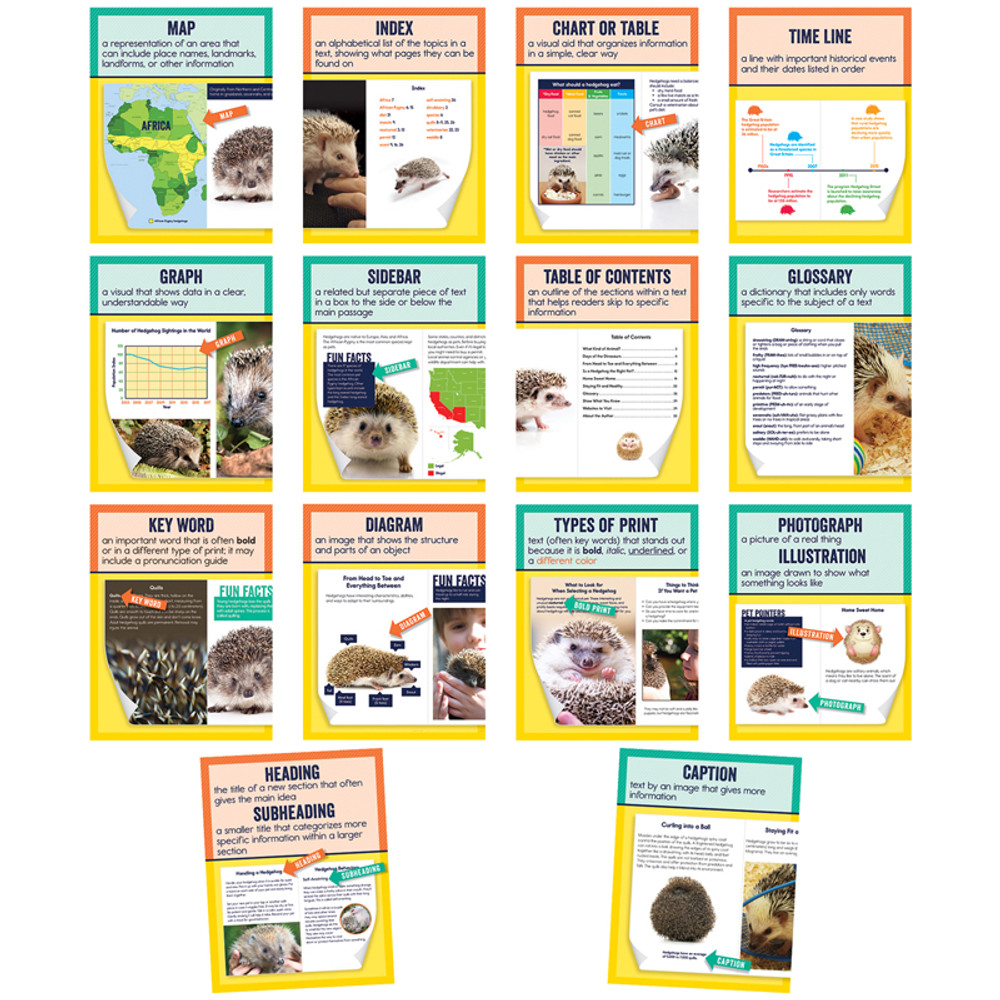 CARSON DELLOSA EDUCATION Carson Dellosa Education Mini Posters: Nonfiction Text Features Poster Set, Grade 1-6, 14 Pieces