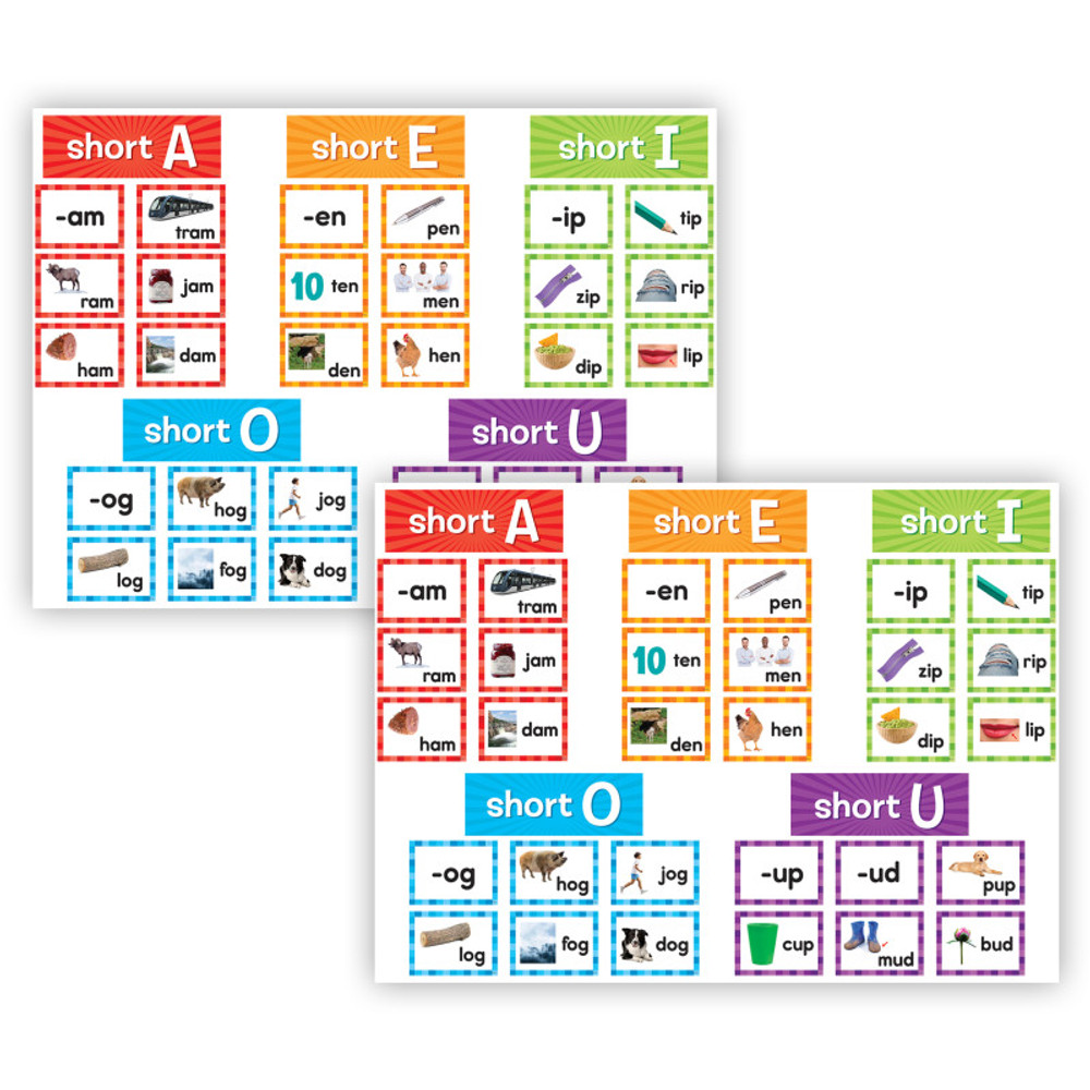 TEACHER CREATED RESOURCES Teacher Created Resources® Short Vowels Pocket Chart Cards, 205 Pieces Per Pack, 2 Packs