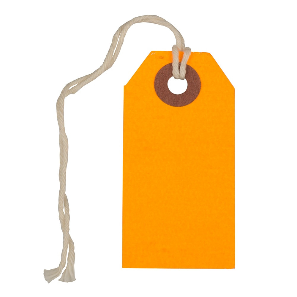 JAM PAPER AND ENVELOPE JAM Paper 91931049A  Tiny Gift Tags, 3-3/8in x 2-3/4in, Neon Orange, Pack Of 10 Tags