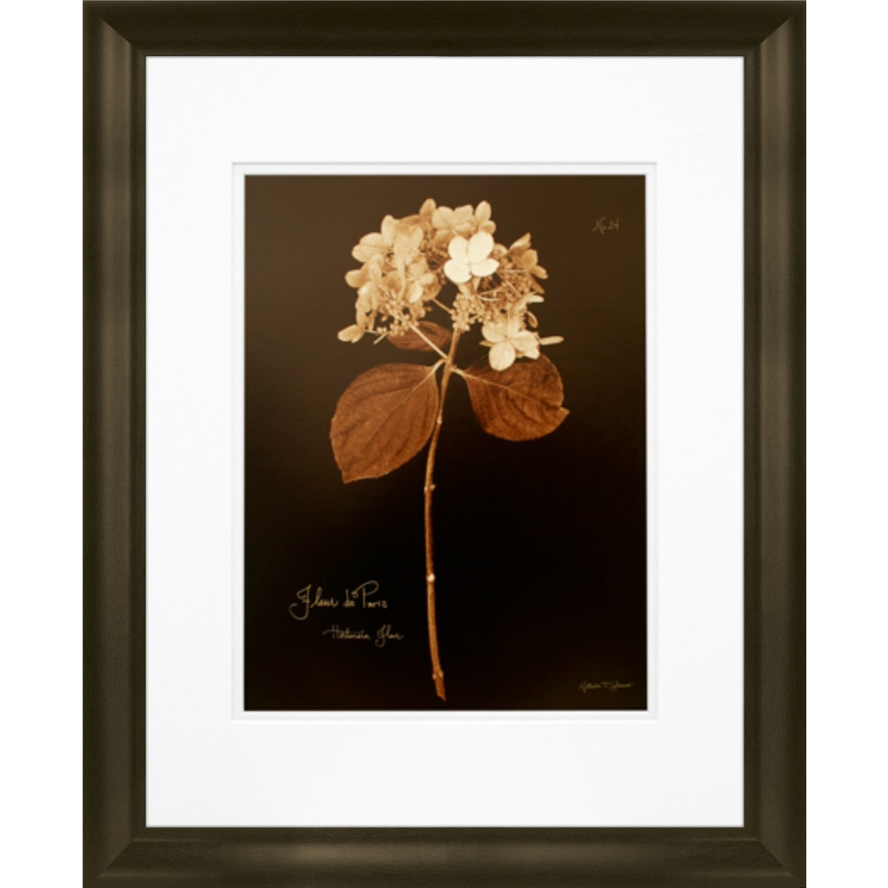 LCO DESTINY LLC Timeless Frames 55254  Marren Espresso-Framed Floral Artwork, 16in x 20in, Hydrangea