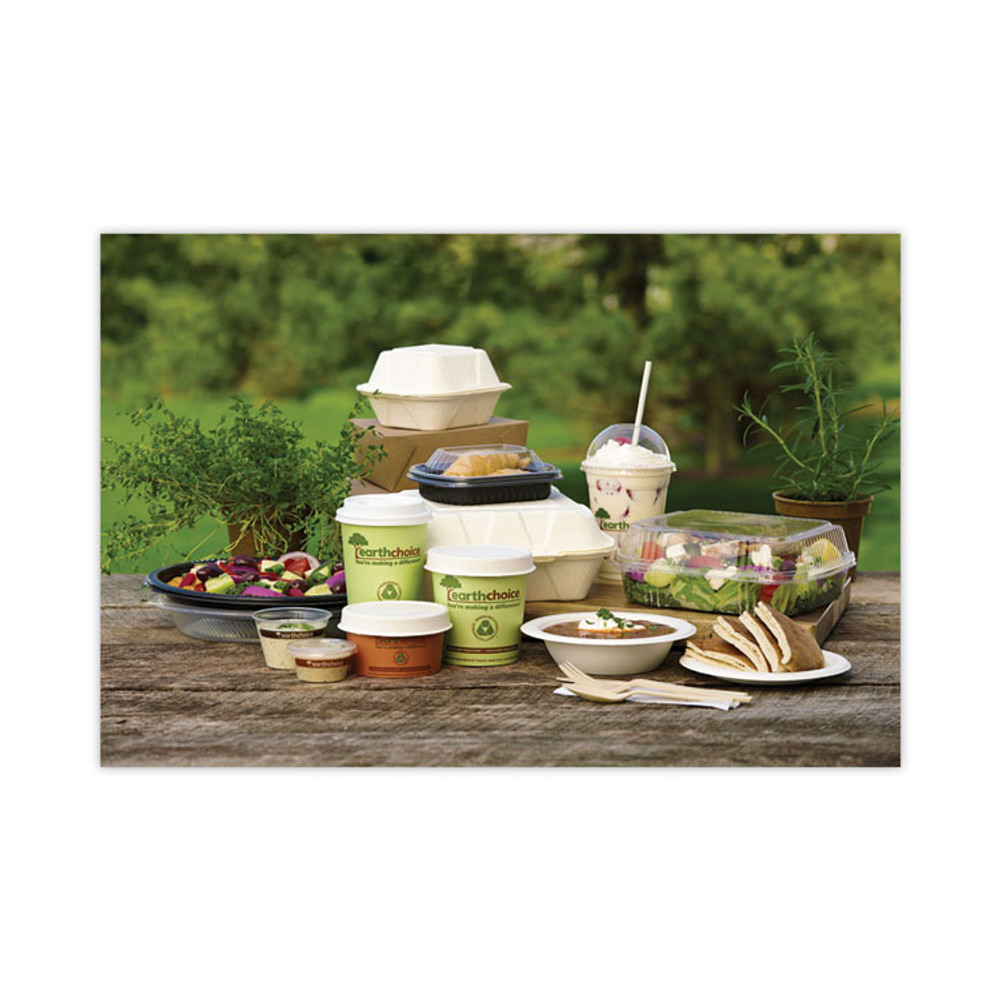PACTIV EVERGREEN CORPORATION PHSC16ECDI EarthChoice Compostable Soup Cup Large, 16 oz, 3.63" Diameter x 3.88" h, Green, Paper, 500/Carton