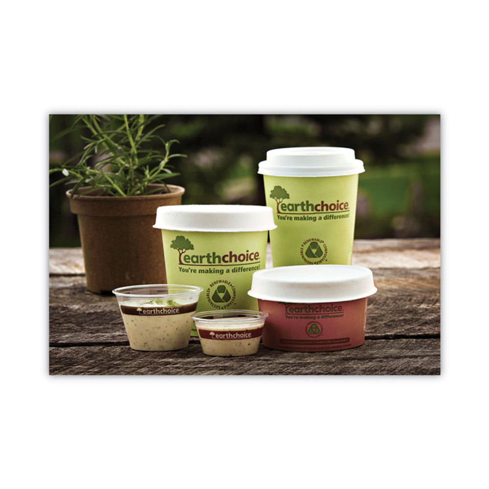 PACTIV EVERGREEN CORPORATION PHSC16ECDI EarthChoice Compostable Soup Cup Large, 16 oz, 3.63" Diameter x 3.88" h, Green, Paper, 500/Carton