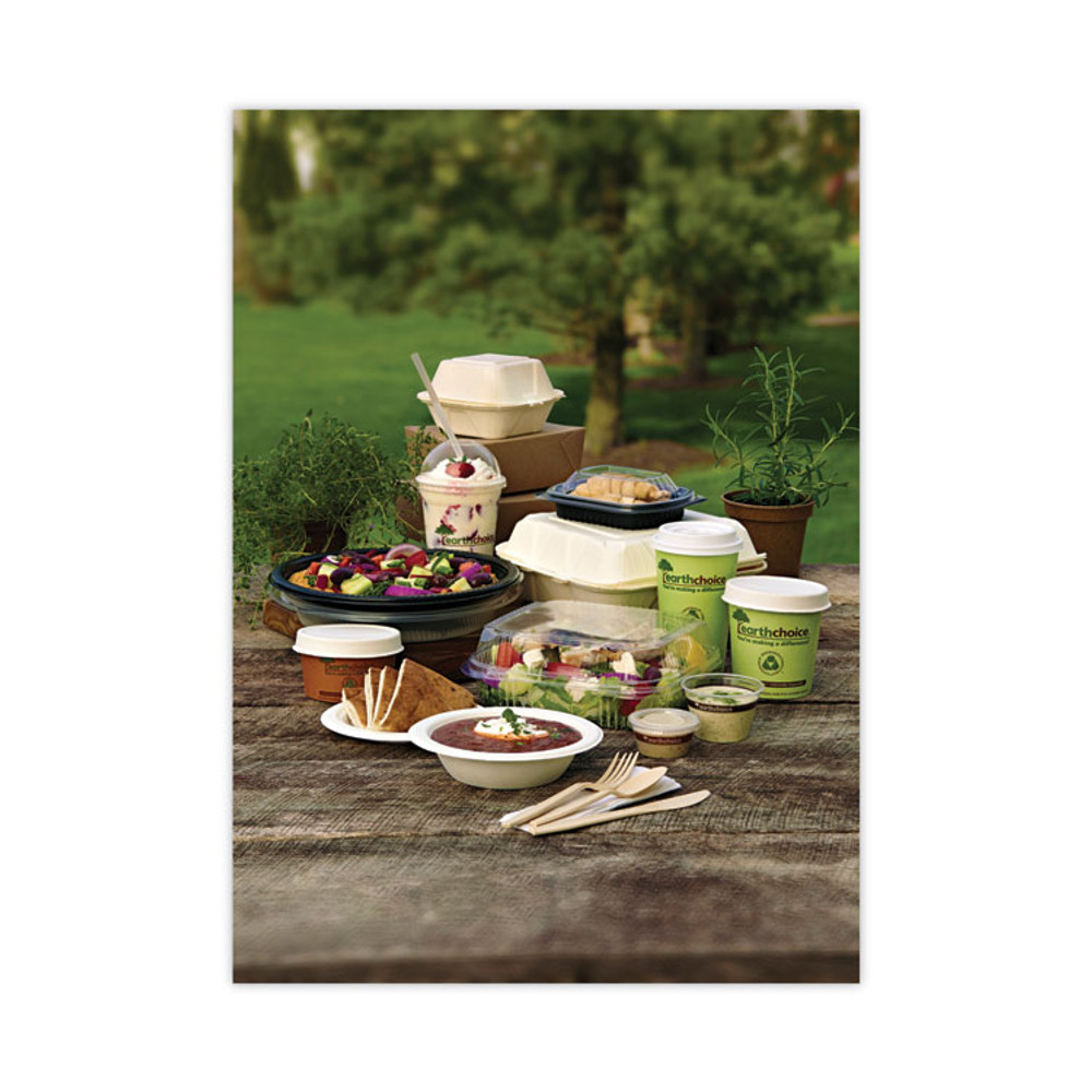 PACTIV EVERGREEN CORPORATION PHSC16ECDI EarthChoice Compostable Soup Cup Large, 16 oz, 3.63" Diameter x 3.88" h, Green, Paper, 500/Carton